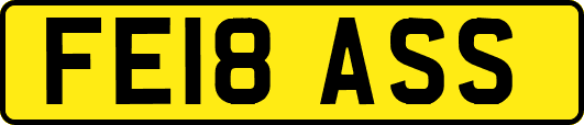FE18ASS
