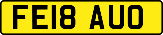 FE18AUO