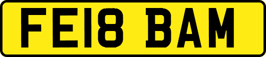 FE18BAM
