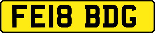 FE18BDG