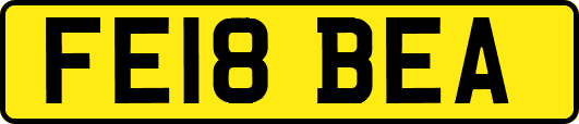 FE18BEA