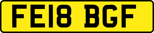 FE18BGF