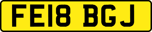 FE18BGJ