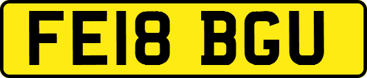 FE18BGU