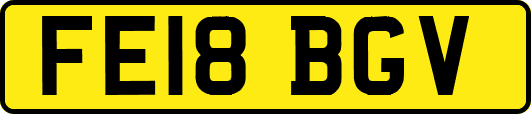 FE18BGV