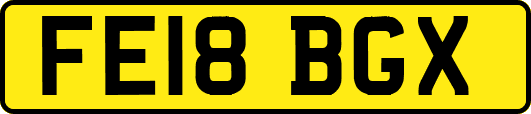 FE18BGX