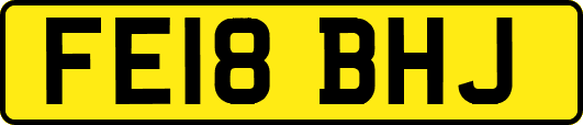 FE18BHJ