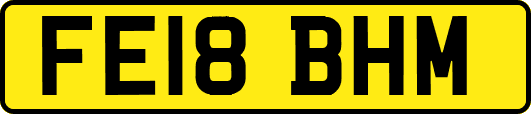 FE18BHM