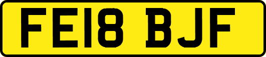 FE18BJF