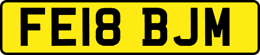FE18BJM