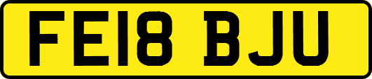 FE18BJU