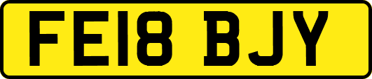 FE18BJY
