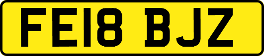 FE18BJZ