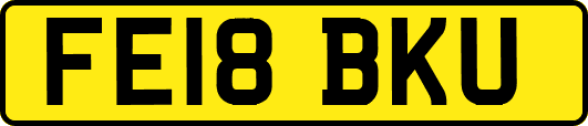 FE18BKU