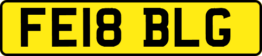 FE18BLG