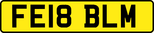 FE18BLM