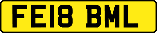 FE18BML