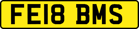 FE18BMS