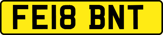 FE18BNT