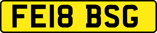 FE18BSG