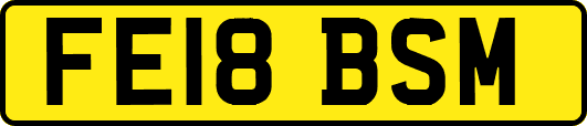 FE18BSM