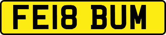 FE18BUM