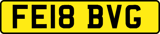 FE18BVG