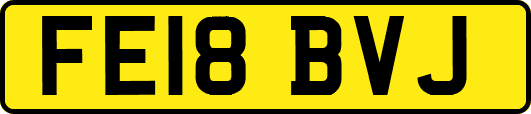 FE18BVJ