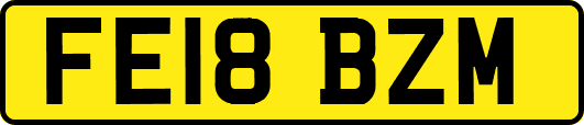 FE18BZM
