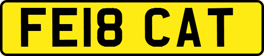 FE18CAT