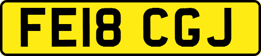 FE18CGJ