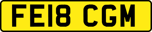 FE18CGM