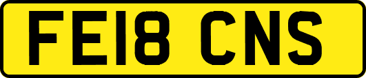 FE18CNS