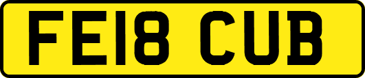 FE18CUB