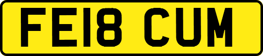 FE18CUM