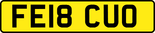 FE18CUO