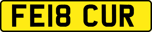 FE18CUR
