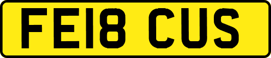 FE18CUS