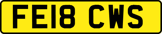FE18CWS