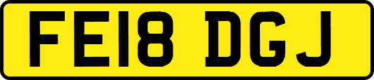 FE18DGJ