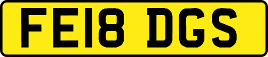 FE18DGS