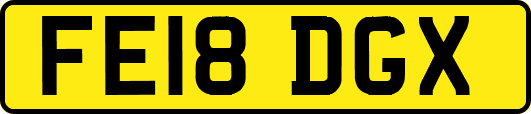 FE18DGX