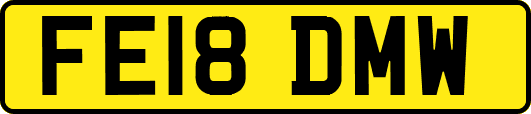 FE18DMW