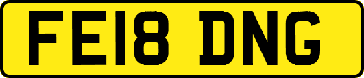 FE18DNG