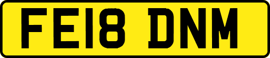 FE18DNM