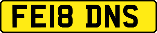 FE18DNS