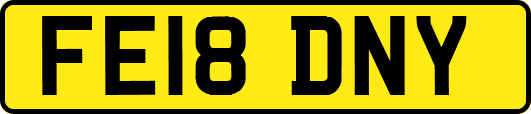 FE18DNY