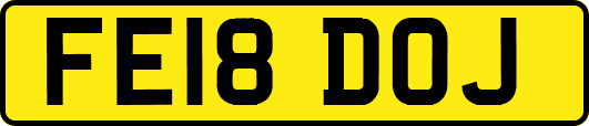 FE18DOJ