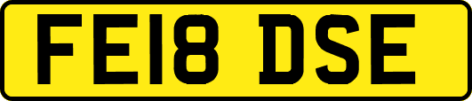 FE18DSE
