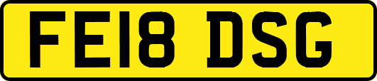 FE18DSG